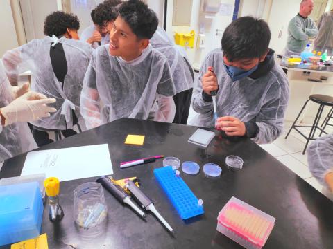 Students learning how to manipulate the micropipette.