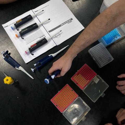 Micropipetas